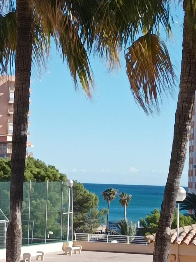 Almar Collection Cullera Bahia Park 아파트 외부 사진
