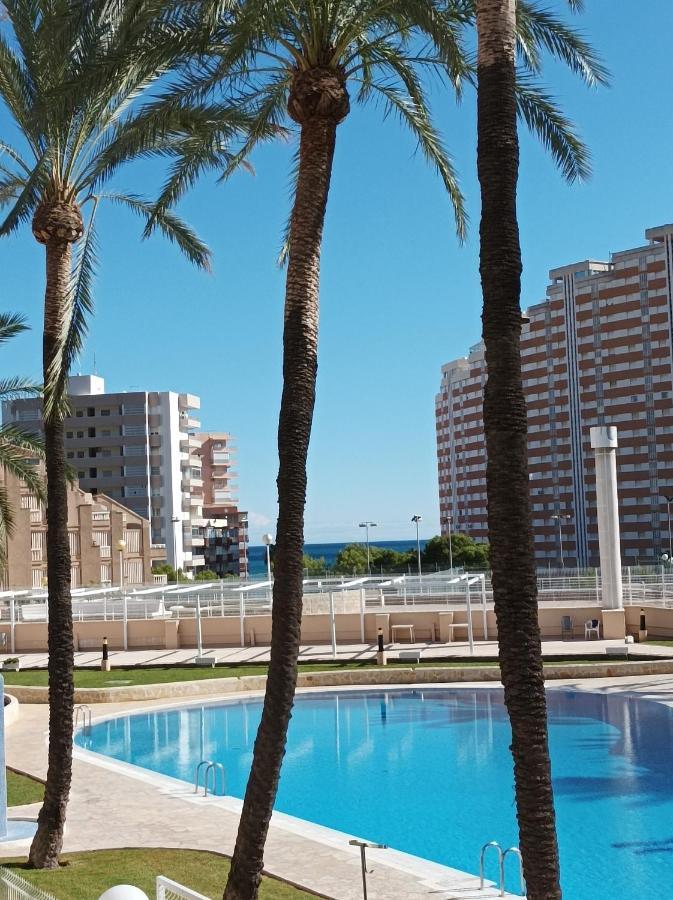 Almar Collection Cullera Bahia Park 아파트 외부 사진